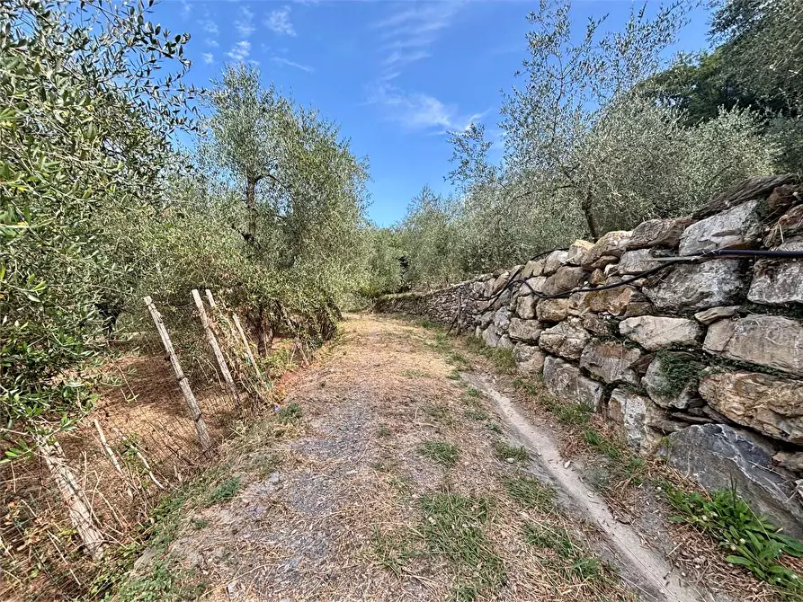 Immagine 22 di Terreno agricolo in vendita  in Borgo Montà  4 a Aquila D'arroscia