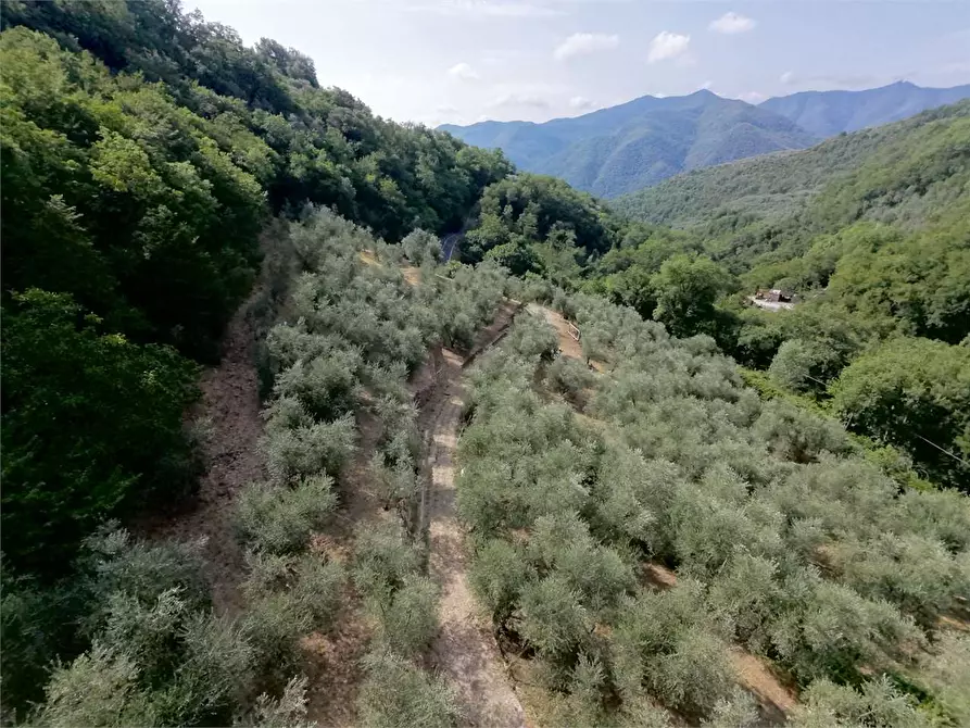 Immagine 28 di Terreno agricolo in vendita  in Borgo Montà  4 a Aquila D'arroscia
