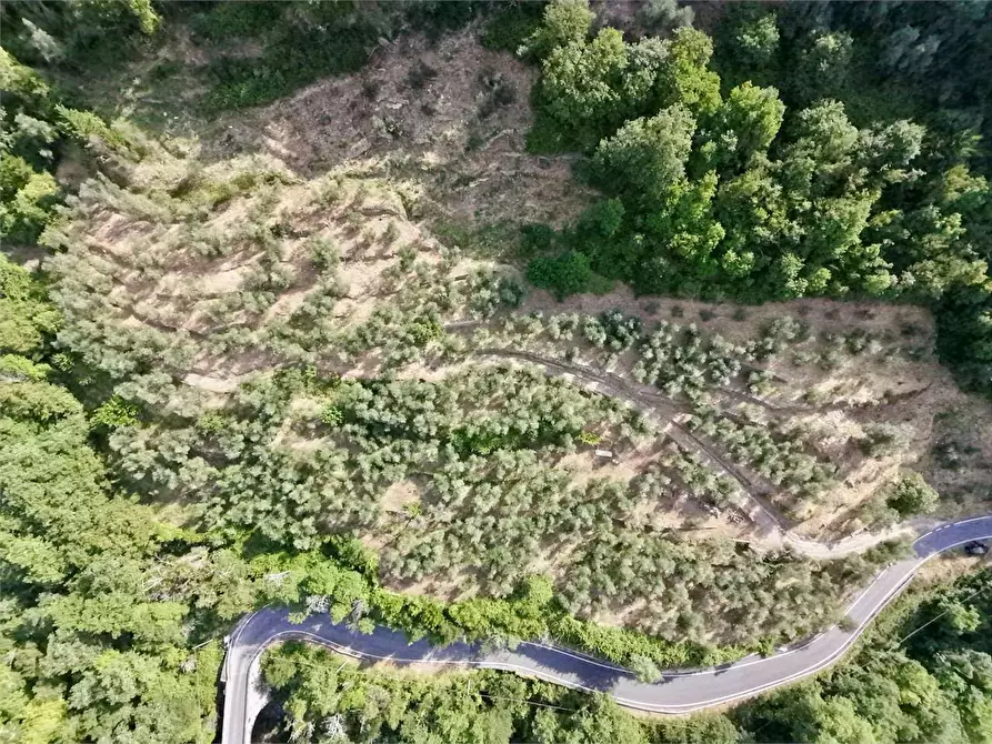Immagine 29 di Terreno agricolo in vendita  in Borgo Montà  4 a Aquila D'arroscia