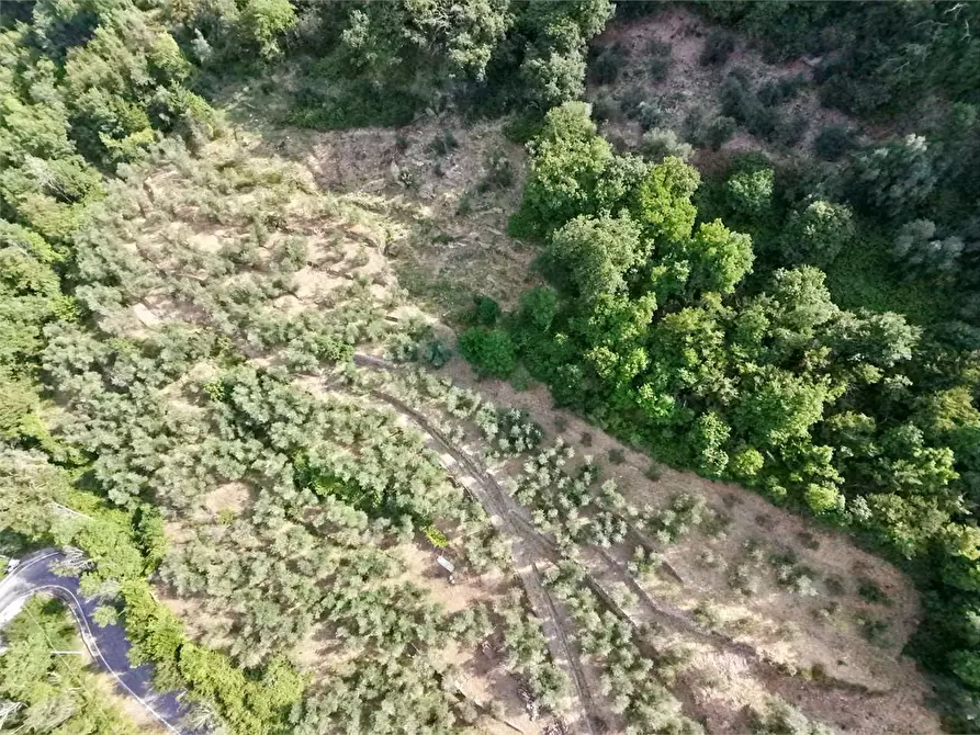Immagine 30 di Terreno agricolo in vendita  in Borgo Montà  4 a Aquila D'arroscia