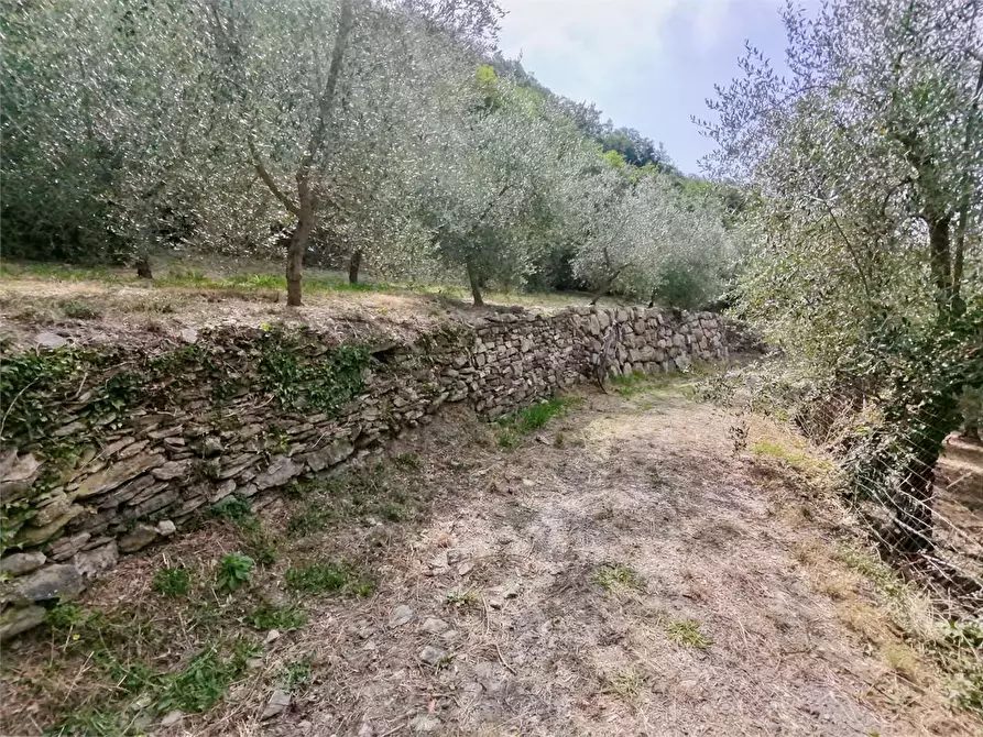 Immagine 32 di Terreno agricolo in vendita  in Borgo Montà  4 a Aquila D'arroscia
