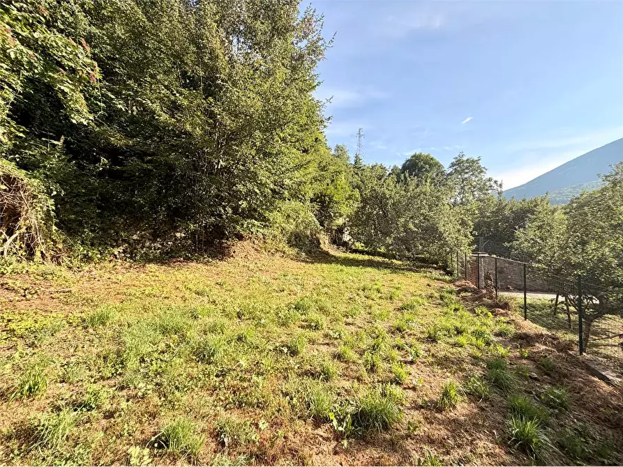 Immagine 45 di Casa indipendente in vendita  in Via San Bernardino  a Ormea