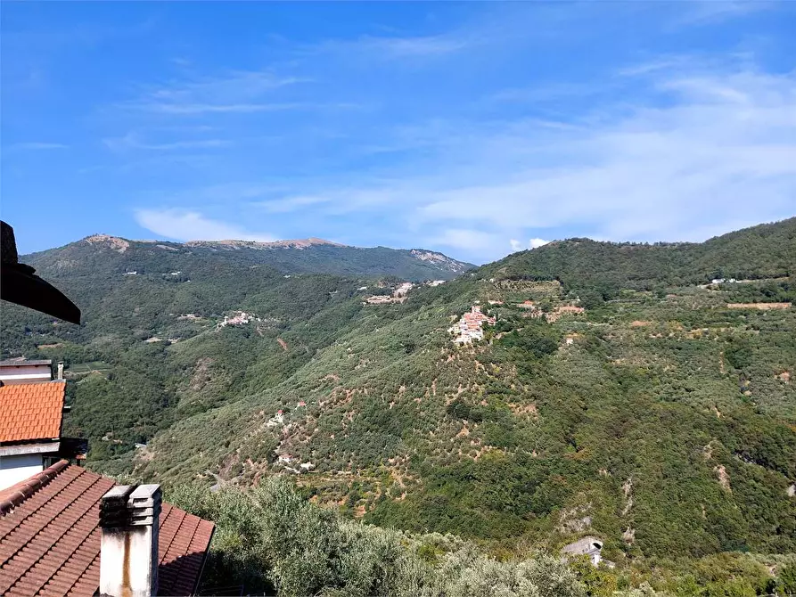 Immagine 24 di Casa indipendente in vendita  in Via Roma 46 a Cesio