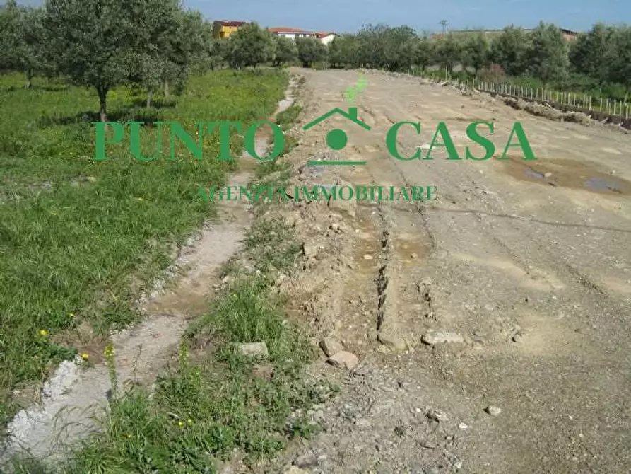 Immagine 12 di Terreno edificabile in vendita  in Via delle Orchidee a Gizzeria