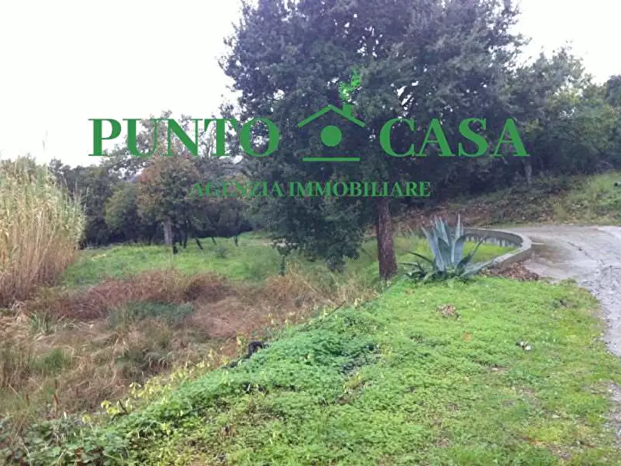 Immagine 1 di Terreno edificabile in vendita  in Località Maiolino a Gizzeria
