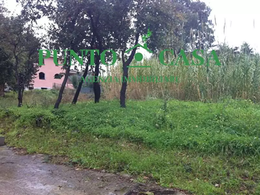 Immagine 2 di Terreno edificabile in vendita  in Località Maiolino a Gizzeria