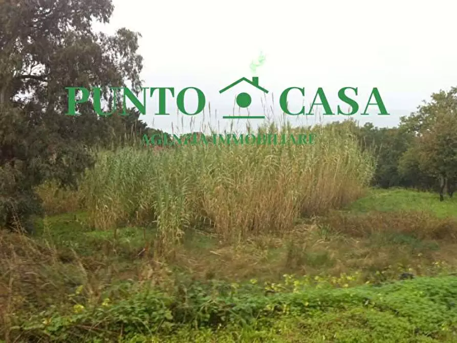Immagine 3 di Terreno edificabile in vendita  in Località Maiolino a Gizzeria