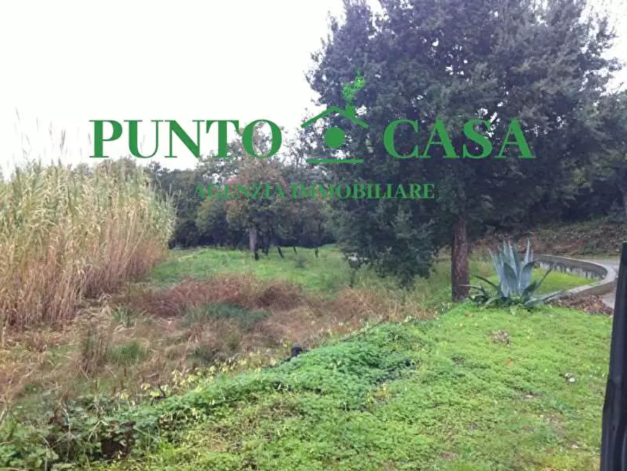 Immagine 4 di Terreno edificabile in vendita  in Località Maiolino a Gizzeria