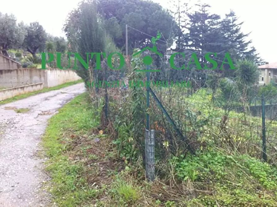 Immagine 5 di Terreno edificabile in vendita  in Località Maiolino a Gizzeria