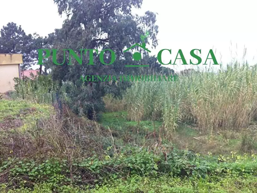 Immagine 6 di Terreno edificabile in vendita  in Località Maiolino a Gizzeria