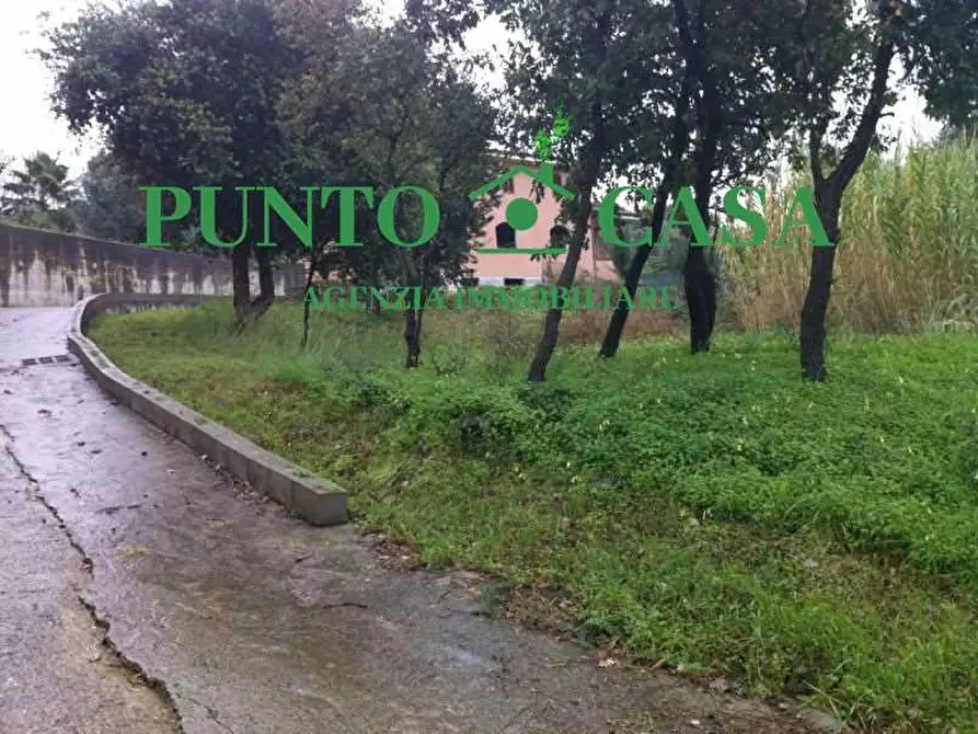 Immagine 8 di Terreno edificabile in vendita  in Località Maiolino a Gizzeria