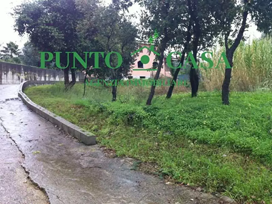 Immagine 9 di Terreno edificabile in vendita  in Località Maiolino a Gizzeria