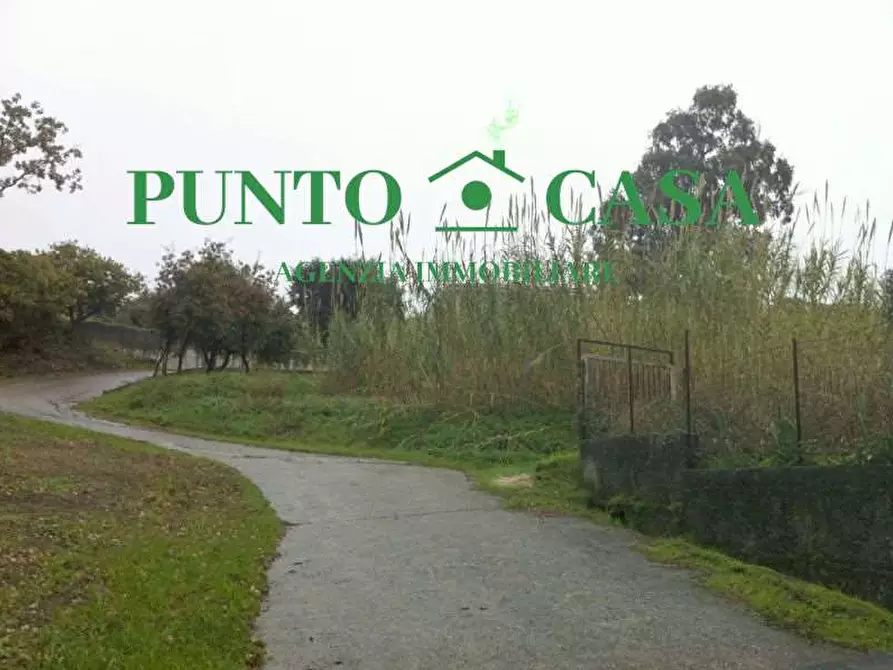 Immagine 10 di Terreno edificabile in vendita  in Località Maiolino a Gizzeria