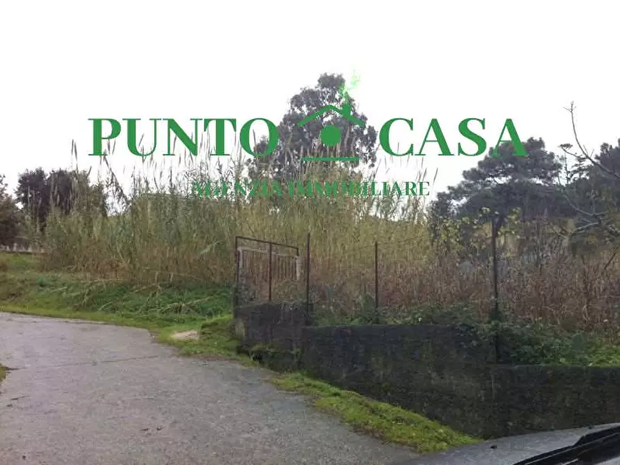 Immagine 11 di Terreno edificabile in vendita  in Località Maiolino a Gizzeria