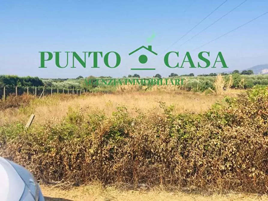 Immagine 3 di Terreno agricolo in vendita  in Via Dei Salentini a Lamezia Terme