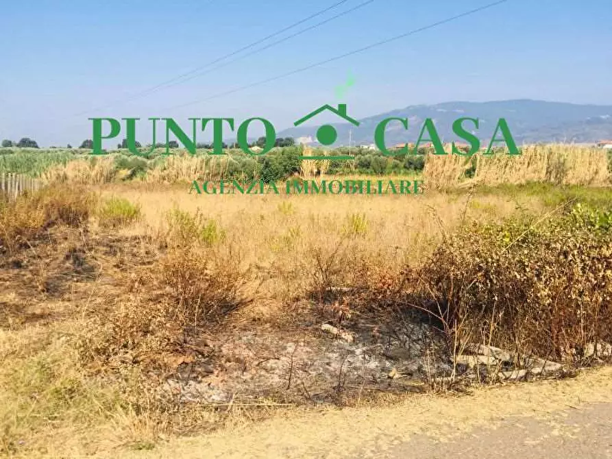 Immagine 5 di Terreno agricolo in vendita  in Via Dei Salentini a Lamezia Terme