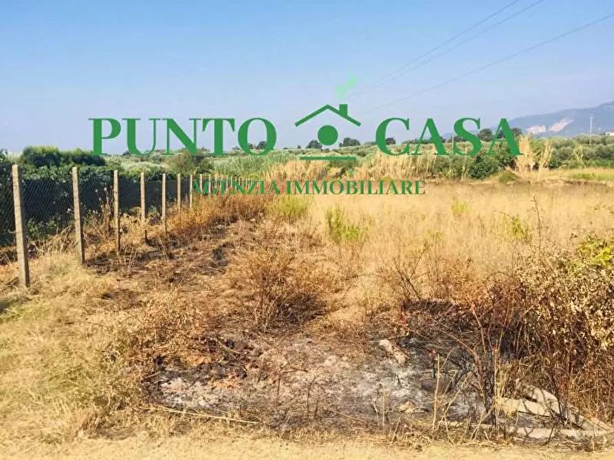 Immagine 7 di Terreno agricolo in vendita  in Via Dei Salentini a Lamezia Terme