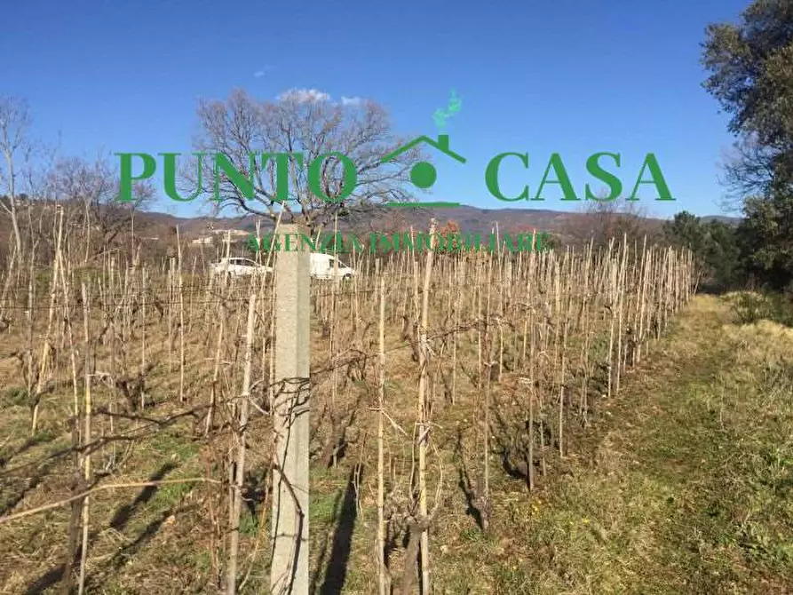 Immagine 3 di Terreno agricolo in vendita  in VIA MELCHIORRE RUSSO 17 a Lamezia Terme