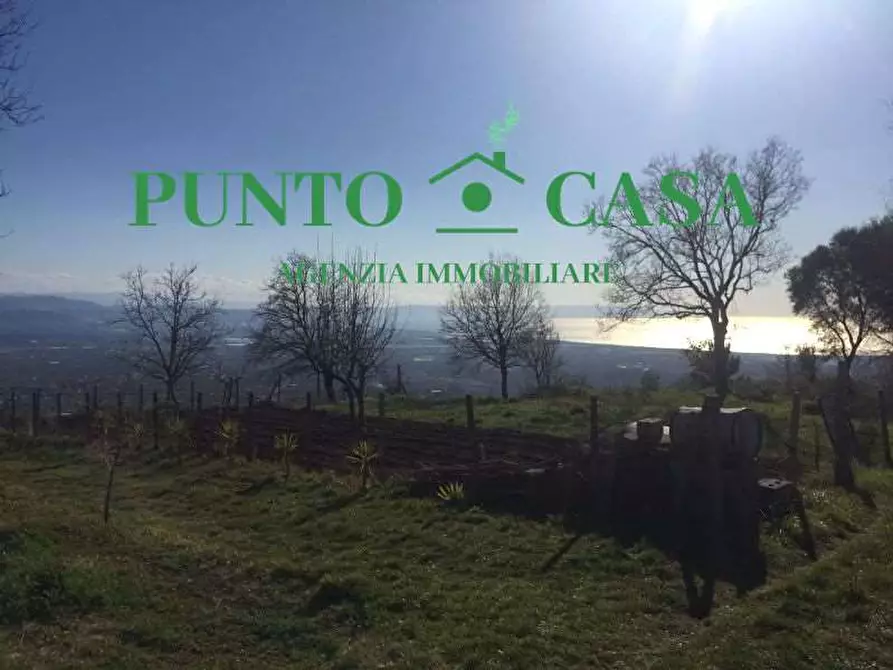 Immagine 4 di Terreno agricolo in vendita  in VIA MELCHIORRE RUSSO 17 a Lamezia Terme