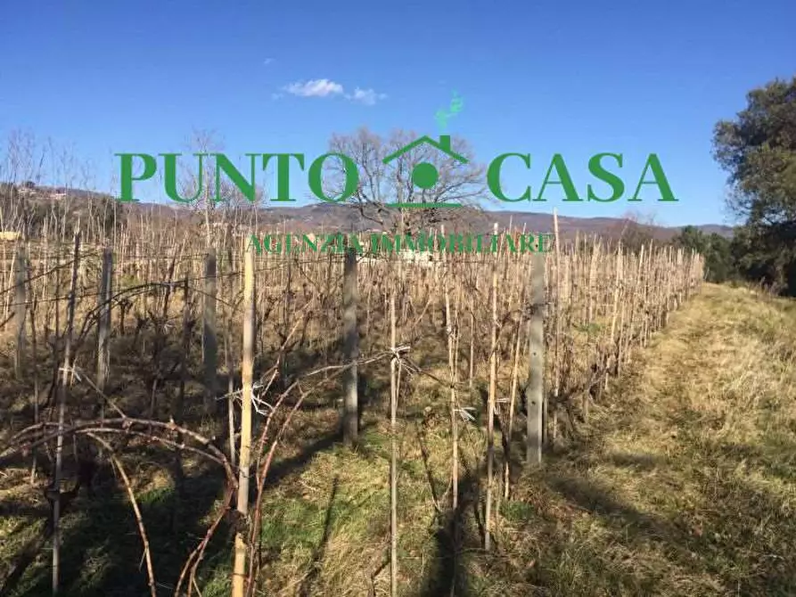 Immagine 5 di Terreno agricolo in vendita  in VIA MELCHIORRE RUSSO 17 a Lamezia Terme