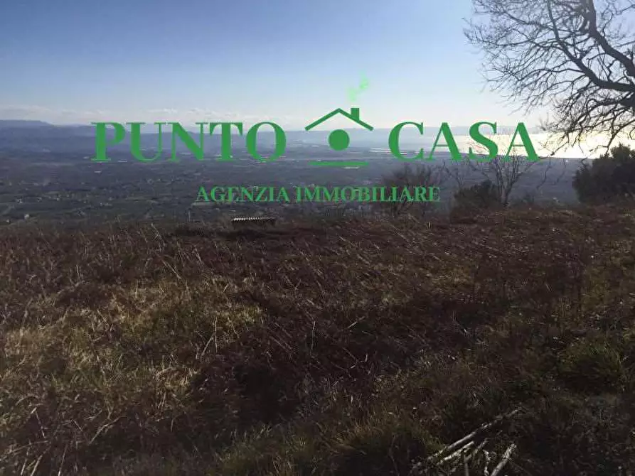 Immagine 7 di Terreno agricolo in vendita  in VIA MELCHIORRE RUSSO 17 a Lamezia Terme