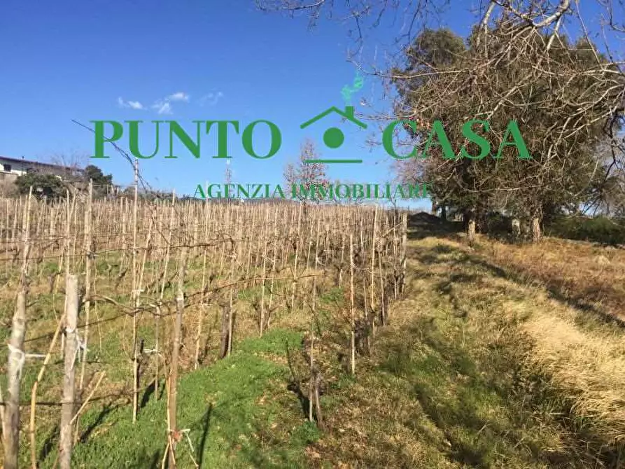 Immagine 9 di Terreno agricolo in vendita  in VIA MELCHIORRE RUSSO 17 a Lamezia Terme