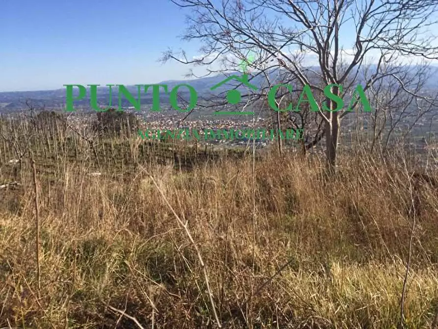 Immagine 10 di Terreno agricolo in vendita  in VIA MELCHIORRE RUSSO 17 a Lamezia Terme