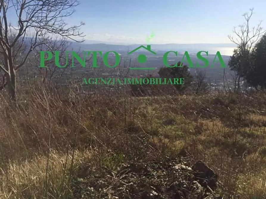 Immagine 11 di Terreno agricolo in vendita  in VIA MELCHIORRE RUSSO 17 a Lamezia Terme