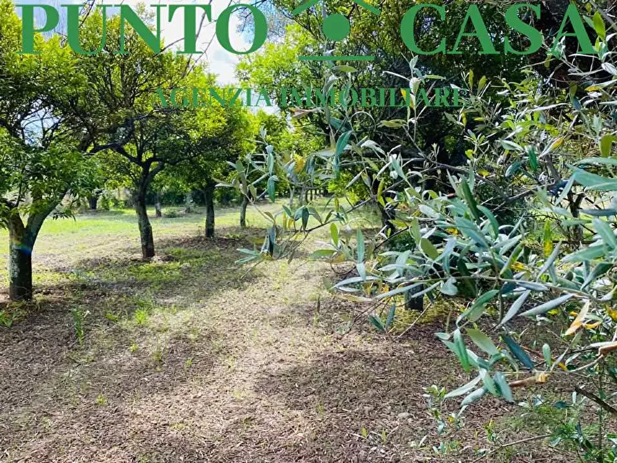 Immagine 2 di Terreno agricolo in vendita  in Via Delle Rose a Lamezia Terme