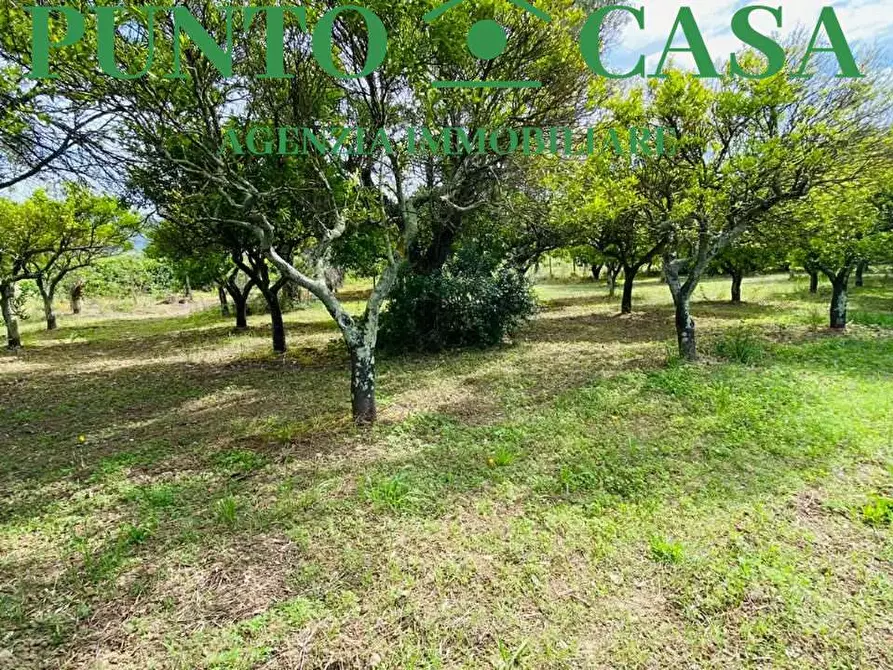 Immagine 10 di Terreno agricolo in vendita  in Via Delle Rose a Lamezia Terme