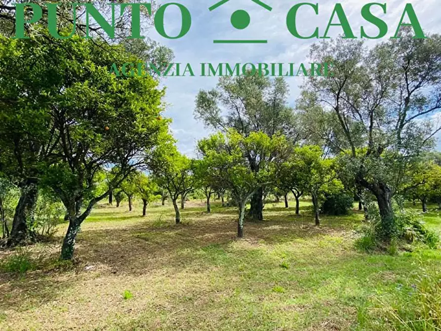 Immagine 11 di Terreno agricolo in vendita  in Via Delle Rose a Lamezia Terme