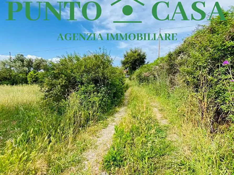 Immagine 12 di Terreno agricolo in vendita  in Via Delle Rose a Lamezia Terme