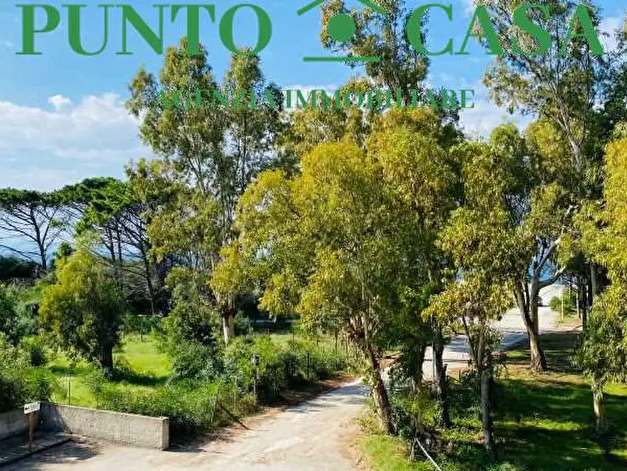 Immagine 26 di Appartamento in vendita  a Lamezia Terme