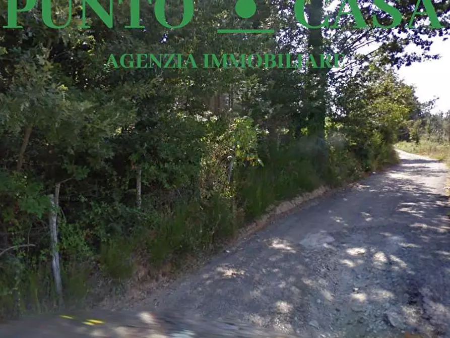 Immagine 2 di Terreno edificabile in vendita  in località San Mazzeo a Conflenti