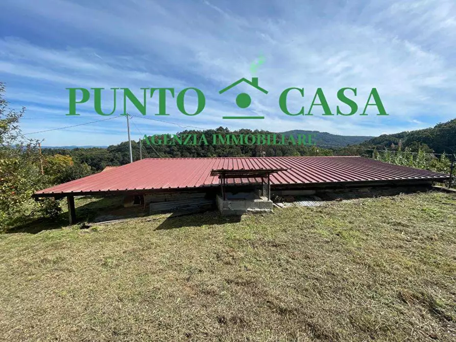 Immagine 21 di Casa indipendente in vendita  in Contrada Giuli a Martirano Lombardo