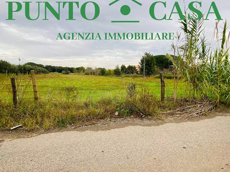 Immagine 1 di Terreno agricolo in vendita  in  Contrada Viscardi a Lamezia Terme