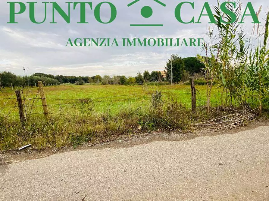 Immagine 2 di Terreno agricolo in vendita  in  Contrada Viscardi a Lamezia Terme