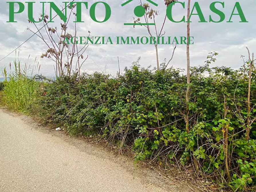 Immagine 3 di Terreno agricolo in vendita  in  Contrada Viscardi a Lamezia Terme