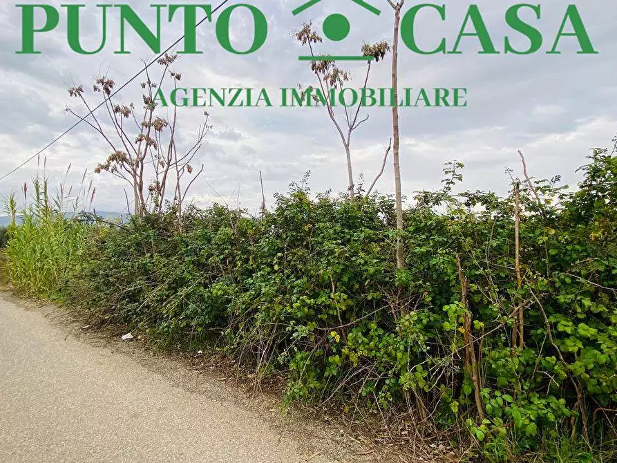 Immagine 4 di Terreno agricolo in vendita  in  Contrada Viscardi a Lamezia Terme