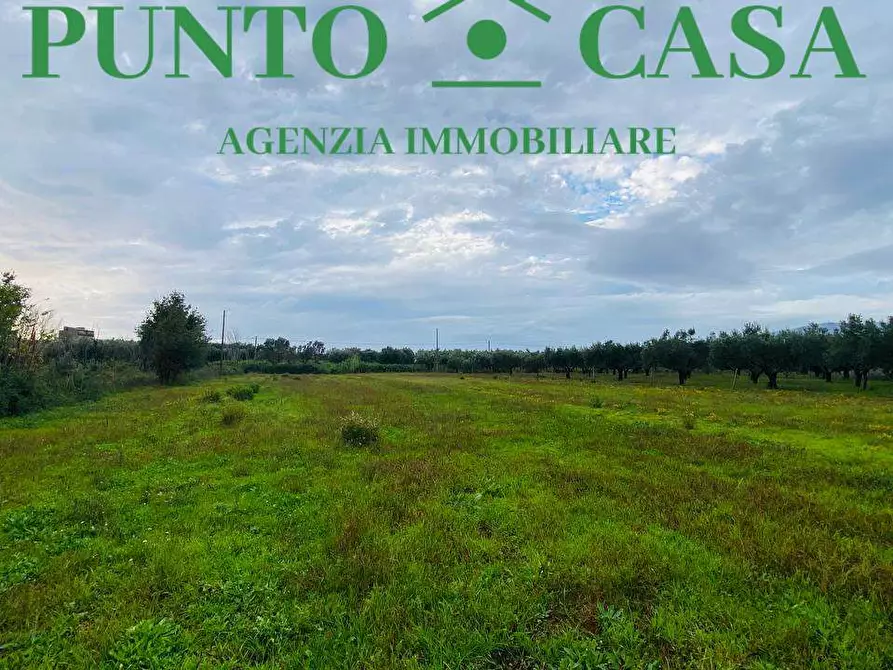 Immagine 5 di Terreno agricolo in vendita  in  Contrada Viscardi a Lamezia Terme