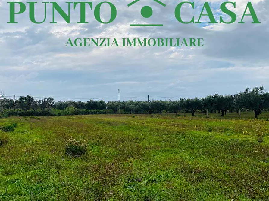 Immagine 6 di Terreno agricolo in vendita  in  Contrada Viscardi a Lamezia Terme