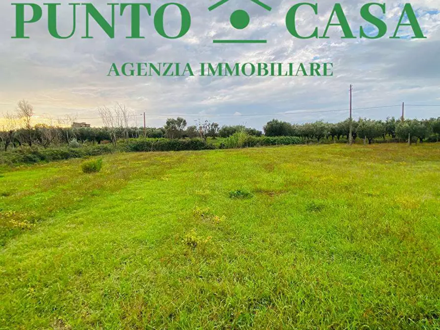Immagine 7 di Terreno agricolo in vendita  in  Contrada Viscardi a Lamezia Terme