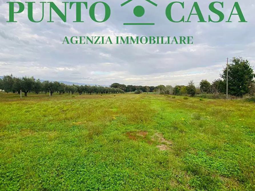 Immagine 8 di Terreno agricolo in vendita  in  Contrada Viscardi a Lamezia Terme