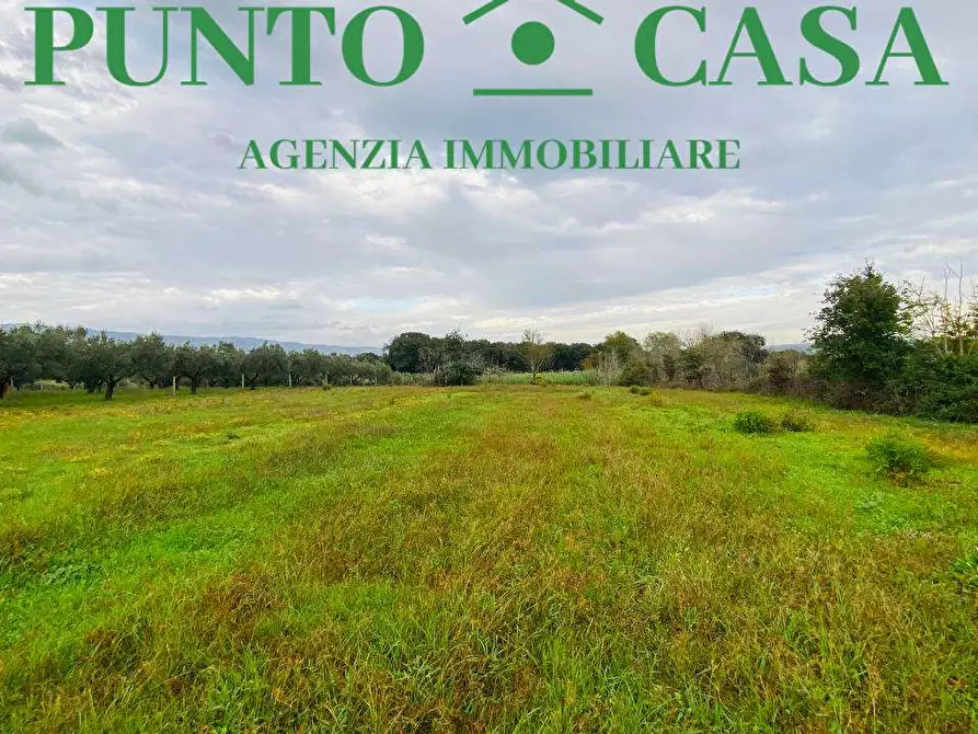 Immagine 9 di Terreno agricolo in vendita  in  Contrada Viscardi a Lamezia Terme