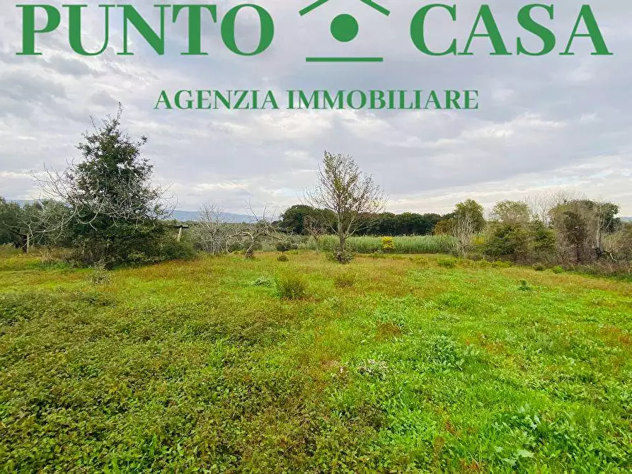 Immagine 10 di Terreno agricolo in vendita  in  Contrada Viscardi a Lamezia Terme