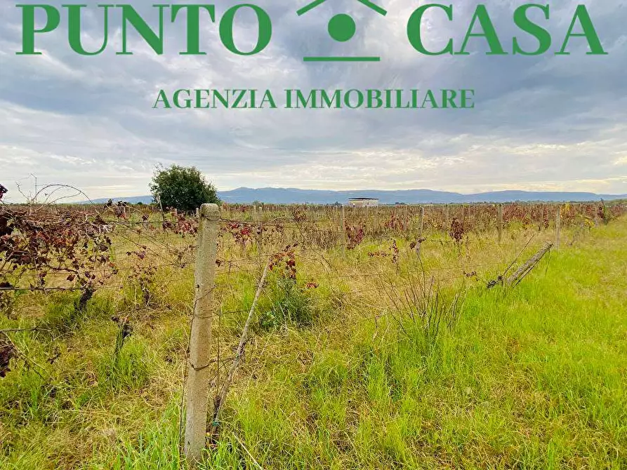 Immagine 3 di Terreno agricolo in vendita  in pullo a Lamezia Terme