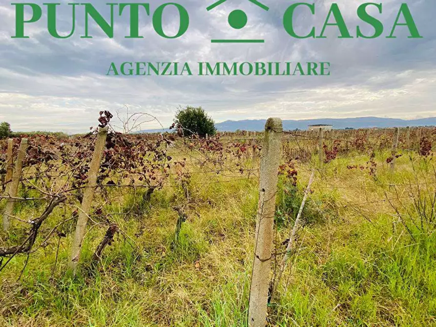 Immagine 4 di Terreno agricolo in vendita  in pullo a Lamezia Terme