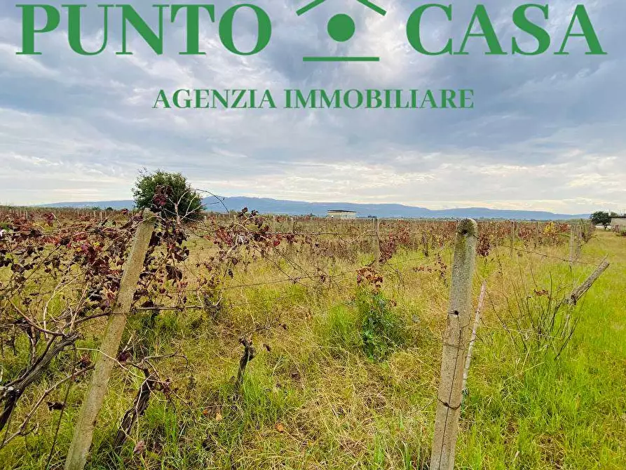 Immagine 5 di Terreno agricolo in vendita  in pullo a Lamezia Terme