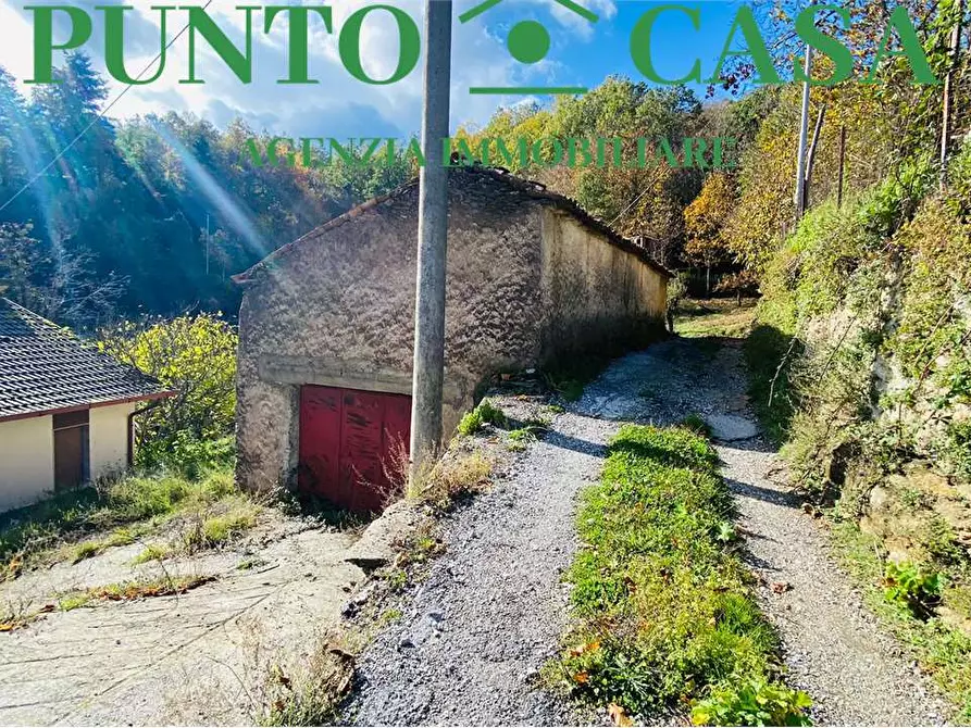 Immagine 13 di Rustico / casale in vendita  in Contrada Vallone Cupo  a Conflenti