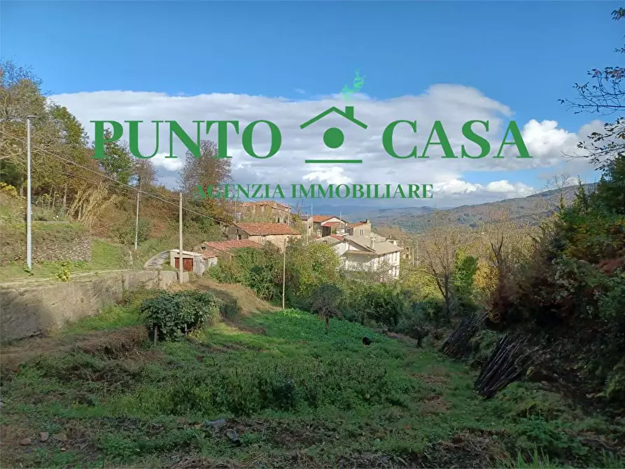 Immagine 14 di Rustico / casale in vendita  in Contrada Vallone Cupo  a Conflenti